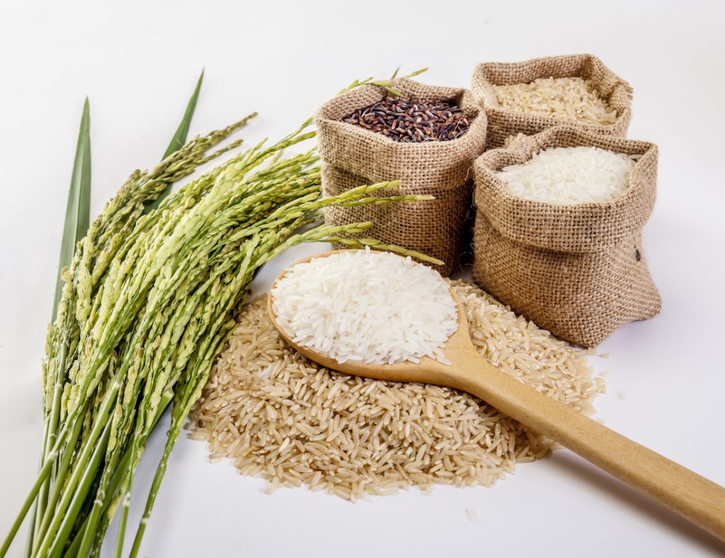 Rice Grains